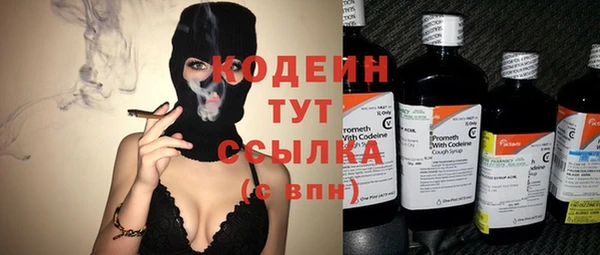 индика Кинешма