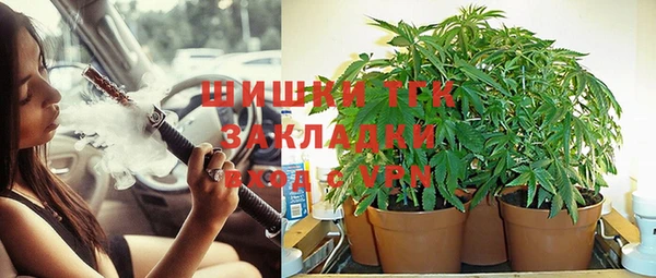 дживик Киреевск