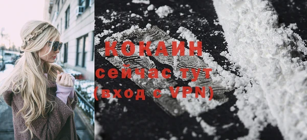 индика Кинешма