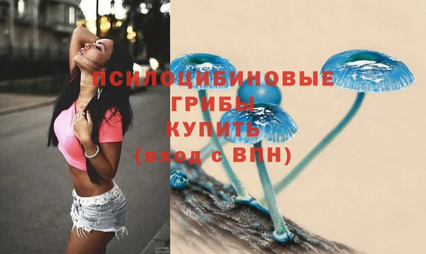a pvp Балабаново