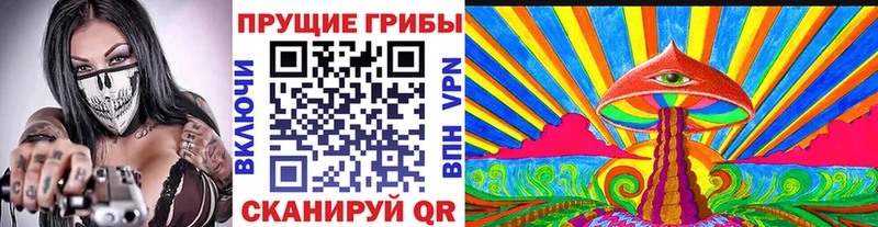 где можно купить   Лесосибирск  Галлюциногенные грибы Psilocybine cubensis 